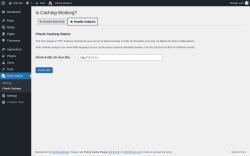 Page screenshot: Proxy Cache &rarr; Check Caching &rarr; 
					
					Header Analysis				