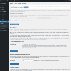 Page screenshot: Proxy Cache