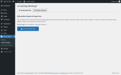 Page screenshot: Proxy Cache &rarr; Check Caching