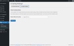 Page screenshot: Proxy Cache &rarr; Check Caching &rarr; 
					
					Header Analysis				