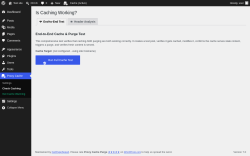 Page screenshot: Proxy Cache &rarr; Check Caching