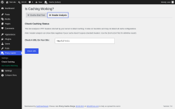 Page screenshot: Proxy Cache &rarr; Check Caching &rarr; 
					
					Header Analysis				