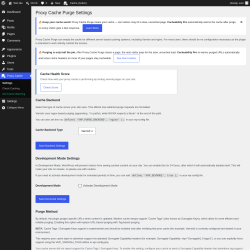 Page screenshot: Proxy Cache