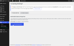 Page screenshot: Proxy Cache &rarr; Check Caching