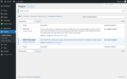 Page screenshot: Plugins &lsaquo; Test site &mdash; WordPress