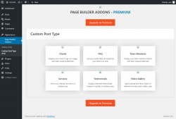Page screenshot: Page Builder Addons → Custom Post Type (Pro)