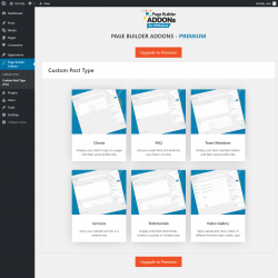 Page screenshot: Page Builder Addons → Custom Post Type (Pro)