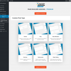 Page screenshot: Page Builder Addons → Custom Post Type (Pro)