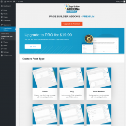 Page screenshot: Page Builder Addons → Custom Post Type (Pro)