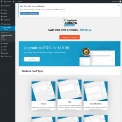 Page screenshot: Page Builder Addons → Custom Post Type (Pro)