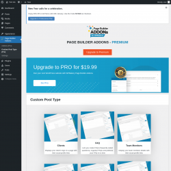 Page screenshot: Page Builder Addons → Custom Post Type (Pro)