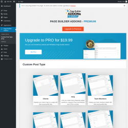 Page screenshot: Page Builder Addons → Custom Post Type (Pro)