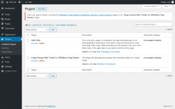 Page screenshot: Plugins &lsaquo; Test site &mdash; WordPress