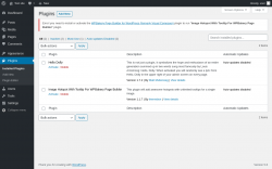 Page screenshot: Plugins &lsaquo; Test site &mdash; WordPress