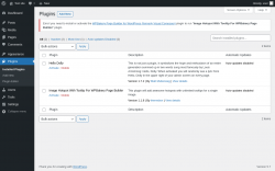 Page screenshot: Plugins &lsaquo; Test site &mdash; WordPress