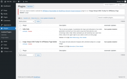Page screenshot: Plugins &lsaquo; Test site &mdash; WordPress