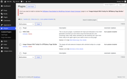 Page screenshot: Plugins &lsaquo; Test site &mdash; WordPress