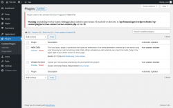 Page screenshot: Plugins &lsaquo; Test site &mdash; WordPress