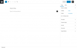 Page screenshot: Add New Page ‹ Test site — WordPress