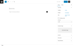 Page screenshot: Add New Page ‹ Test site — WordPress