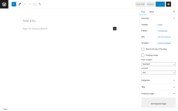 Page screenshot: Add New Post &lsaquo; Test site &mdash; WordPress