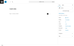 Page screenshot: Add Post &lsaquo; Test site &mdash; WordPress
