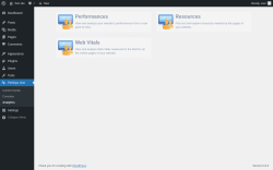Page screenshot: PerfOps One → Analytics