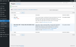 Page screenshot: Plugins ‹ Test site — WordPress