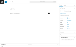 Page screenshot: Add Post &lsaquo; Test site &mdash; WordPress