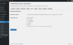Page screenshot: Settings &rarr; Agentic Optimization &rarr; 
						MCP					