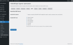 Page screenshot: Settings &rarr; Agentic Optimization &rarr; 
						MCP					