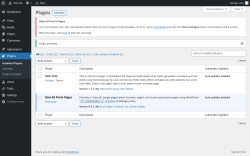 Page screenshot: Plugins ‹ Test site — WordPress