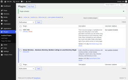 Page screenshot: Plugins &lsaquo; Test site &mdash; WordPress
