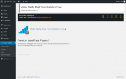 Page screenshot: Visitor Traffic → More Products