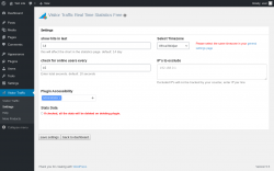 Page screenshot: Visitor Traffic → Settings