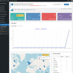 Page screenshot: Visitor Traffic