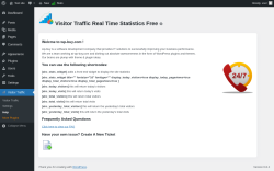 Page screenshot: Visitor Traffic → Help