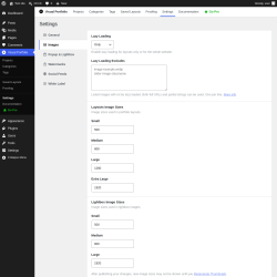 Page screenshot: Visual Portfolio &rarr; Settings &rarr; Images