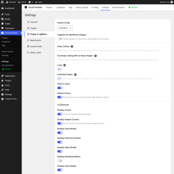 Page screenshot: Visual Portfolio &rarr; Settings &rarr; Popup & Lightbox