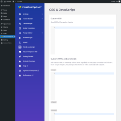 Page screenshot: Visual Composer → CSS & JavaScript