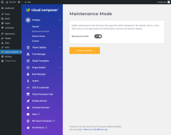 Page screenshot: Visual Composer → Maintenance Mode