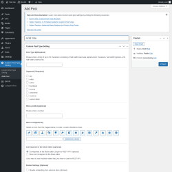 Page screenshot: Custom Post Type Setting → Add Post