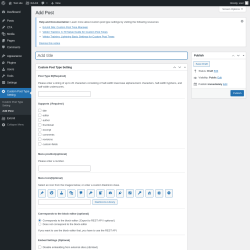 Page screenshot: Custom Post Type Setting &rarr; Add Post