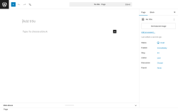 Page screenshot: Add Page &lsaquo; Test site &mdash; WordPress