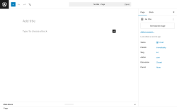 Page screenshot: Add Page &lsaquo; Test site &mdash; WordPress