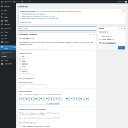 Page screenshot: Custom Post Type Setting &rarr; Add Post