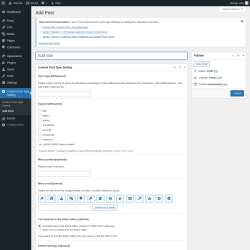 Page screenshot: Custom Post Type Setting &rarr; Add Post