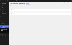 Page screenshot: Custom Post Type Setting