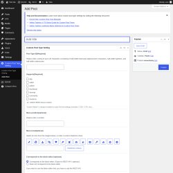 Page screenshot: Custom Post Type Setting &rarr; Add Post