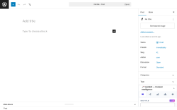 Page screenshot: Add Post &lsaquo; Test site &mdash; WordPress